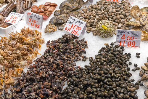 Fresh mussels and seafood for sale at a market in Madrid, Spain photo