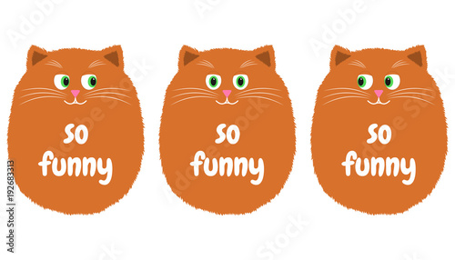 Vector Orange Cat in Cartoon Style. 1 © Дмитрий Майер