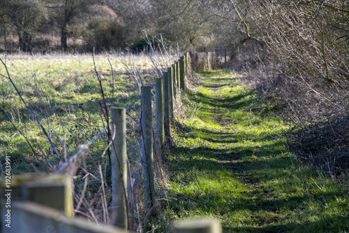 Green Grassy Muddy Public Footpath in English Countryside in Cambridgeshire