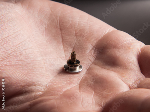 Photos Su Jok moxa in the palm of human hand