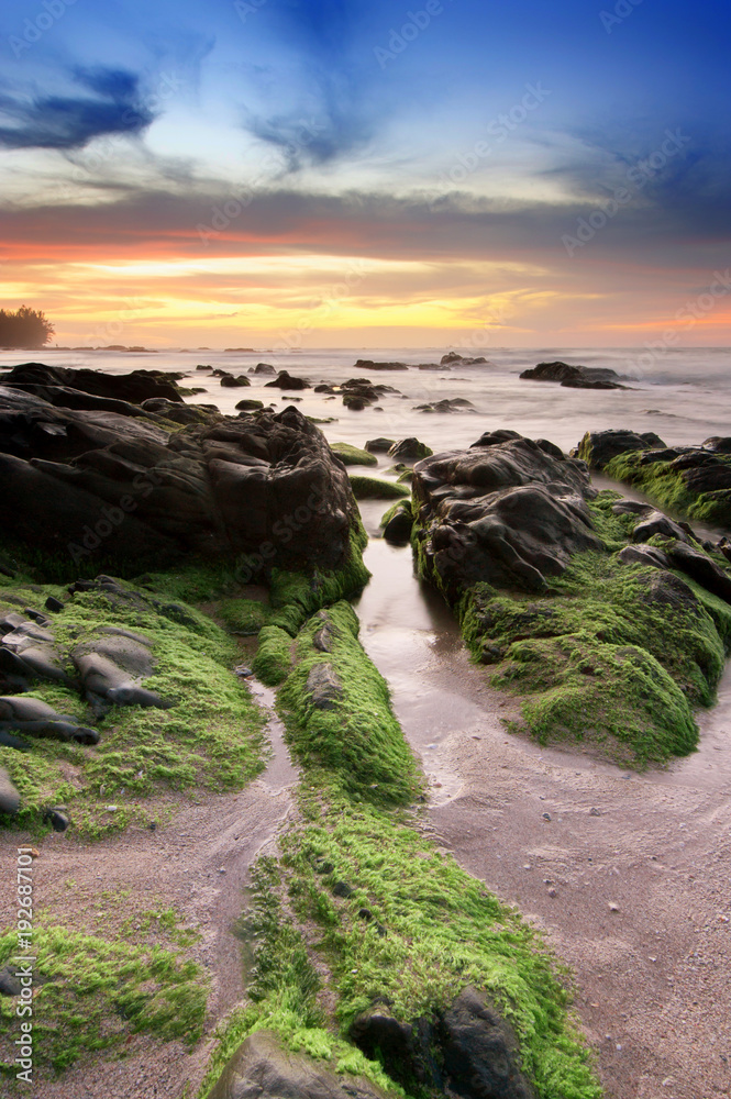 burning sky sunset seascape with rocks covered by green moss. image contain soft focus due to long expose.