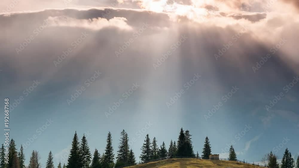 sunbeam sunbeam
