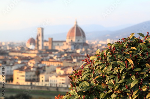 Firenze - vista da piazzale Michelangelo