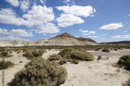 Landscape after Punta Loma near Puerto Madryn  a city in Chubut Province  Patagonia  Argentina