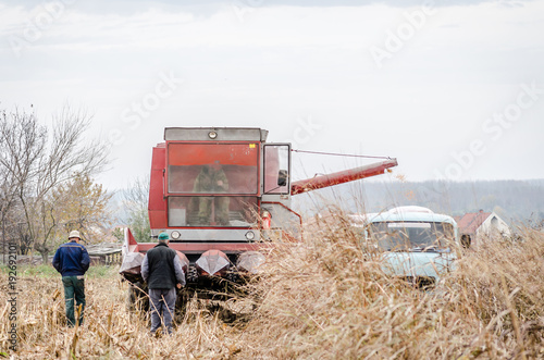 Harvester machine to harvest wheat field working