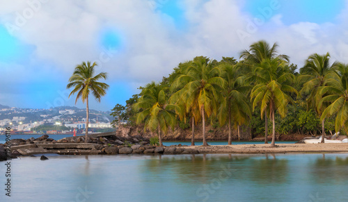 The Caribbean beach   Martinique island.