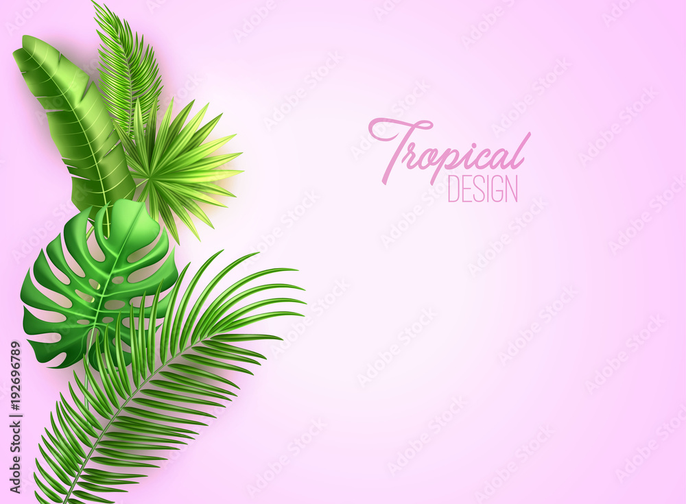 Obraz premium Vector realistic tropical leaves exotic vacation