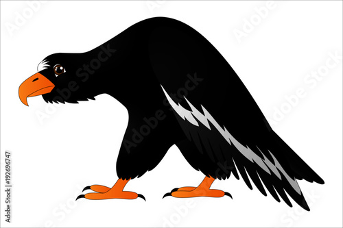 Cartoon predatory bird