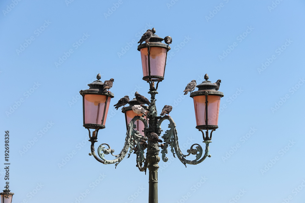 Old lantern with pigeons on famous St. Mark's Square in Venice, Italy