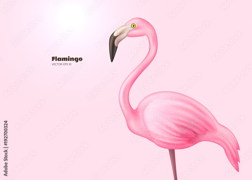 Naklejka premium Wektorowy realistyczny 3d różowy flaming