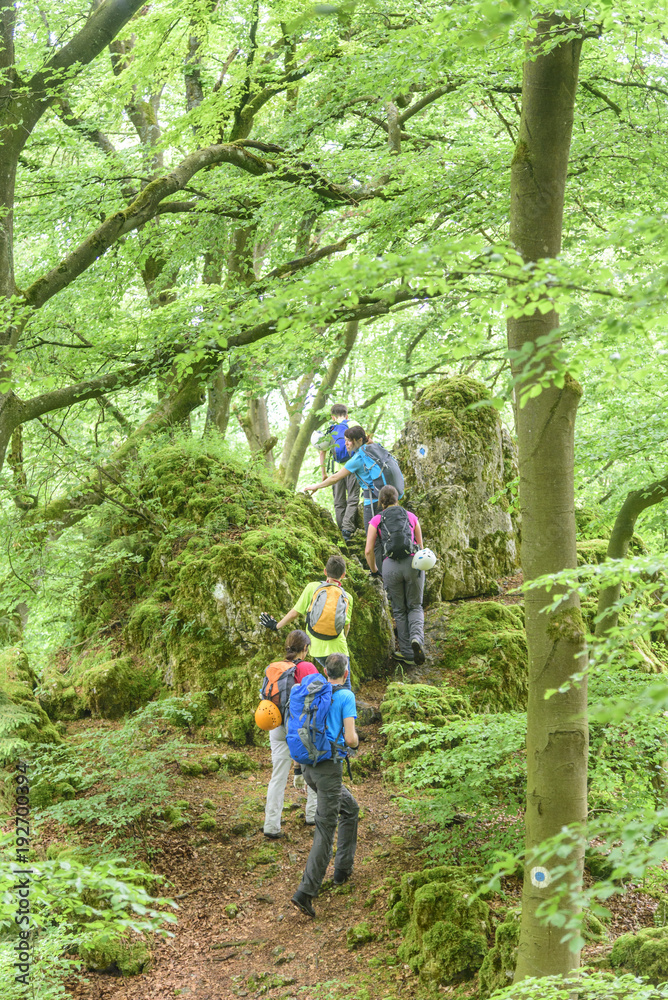 Wandertour unterm Blätterdach eines naturbelassenen Waldes