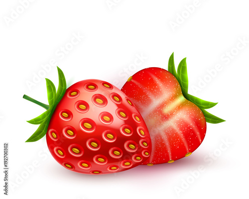 Vector realistic detailed strawberry with slice