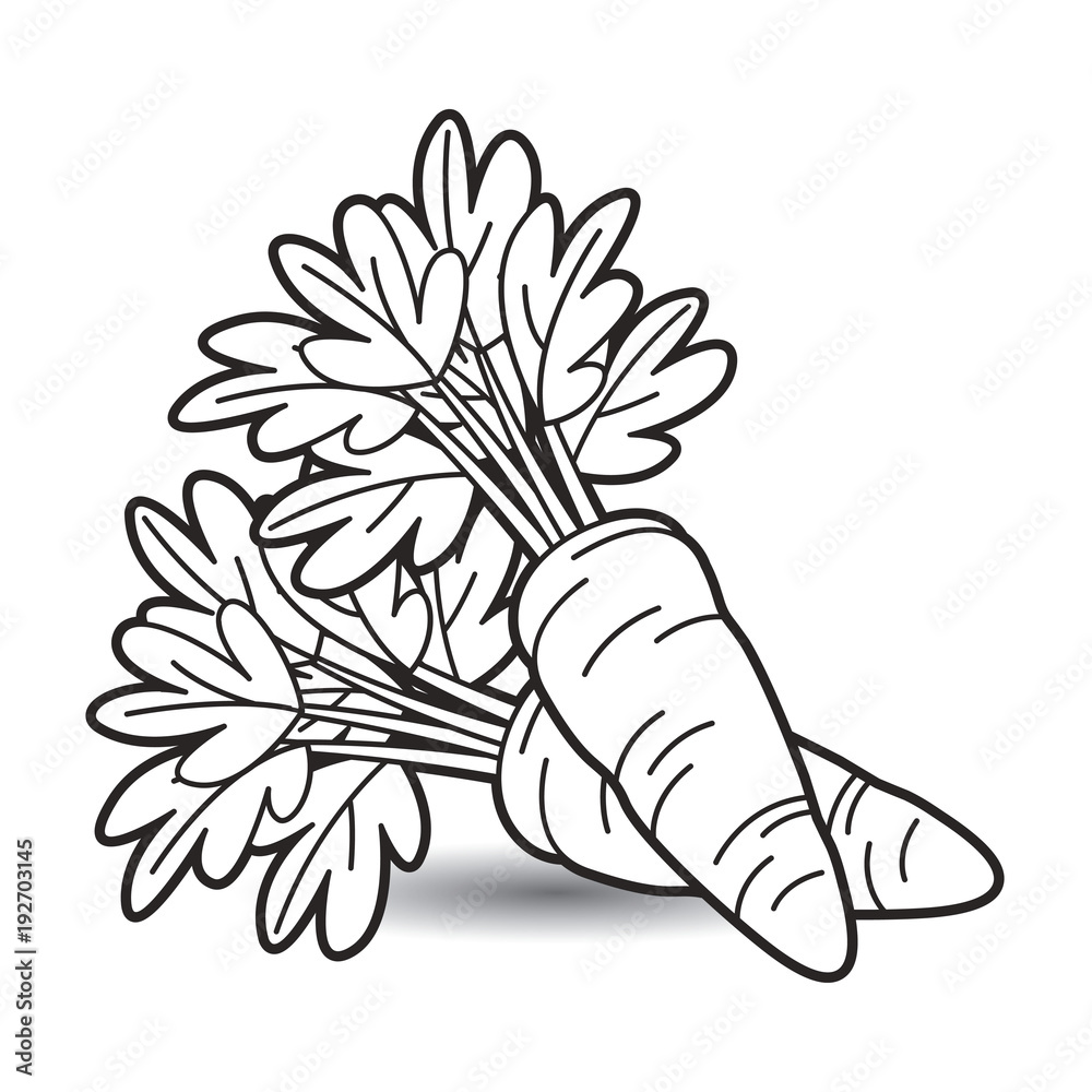 black outline carrot vector cartoon Stock Vector | Adobe Stock