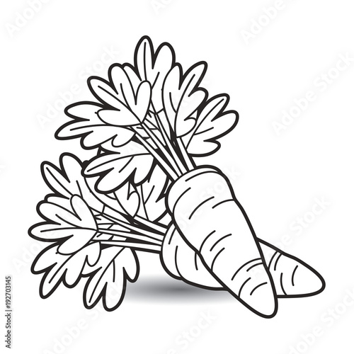 black outline carrot vector cartoon