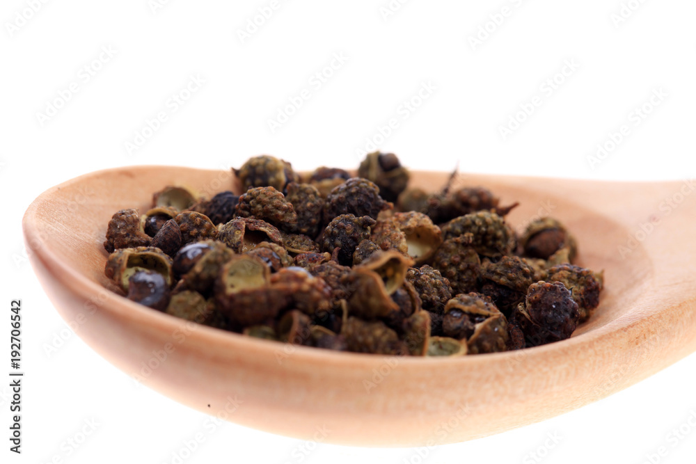 Obraz premium Chinese prickly ash, white background