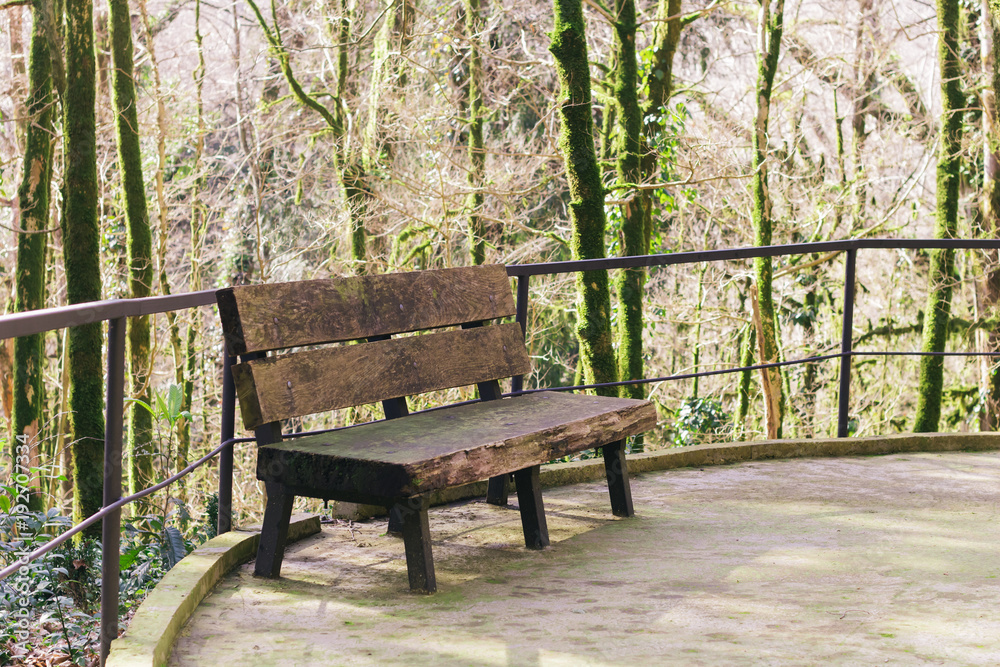 old wooden bench in the park old wooden bench in the park