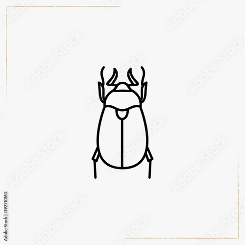 cockchafer line icon