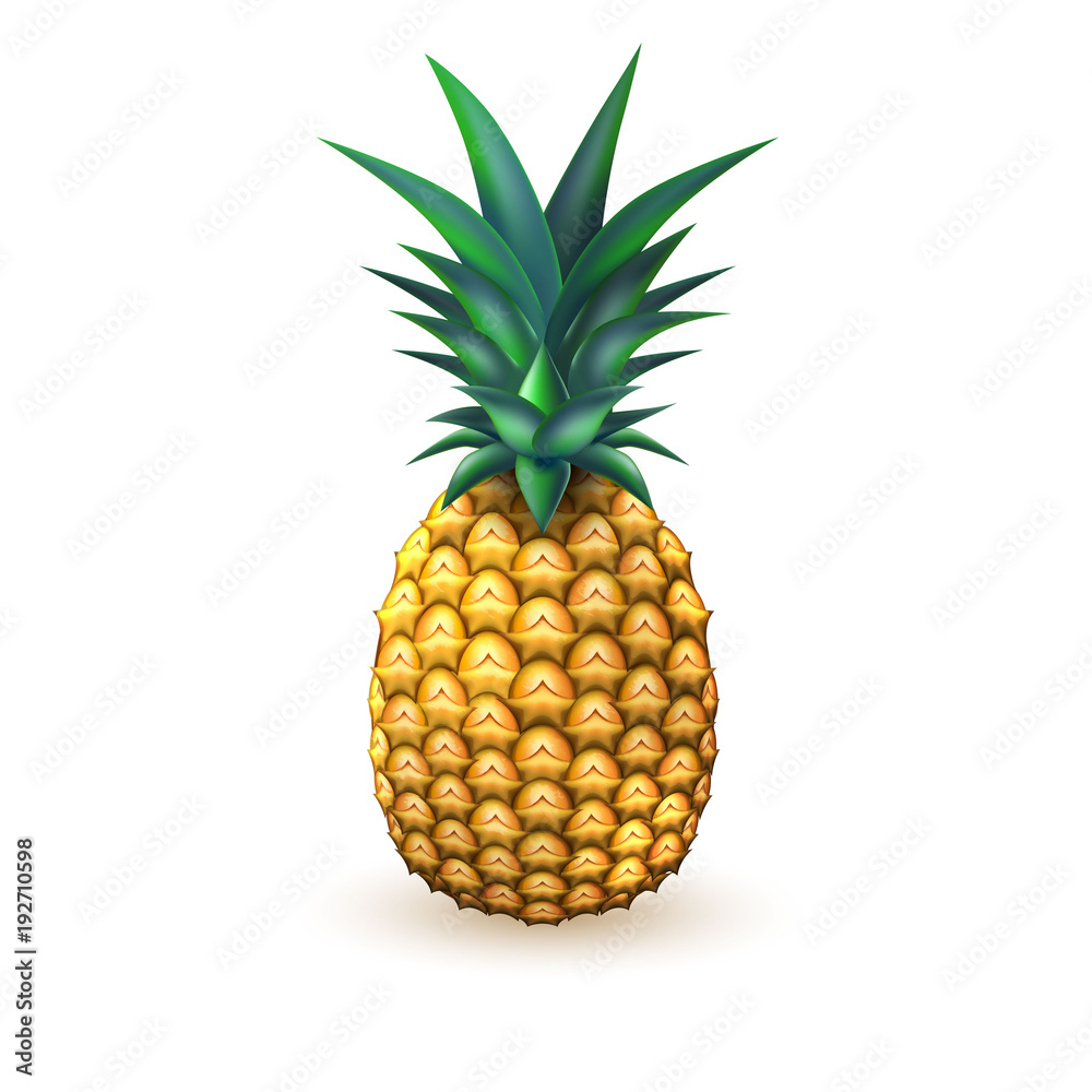Pineapple realistic summer exotic fruit isolated Pineapple realistic summer exotic fruit isolated