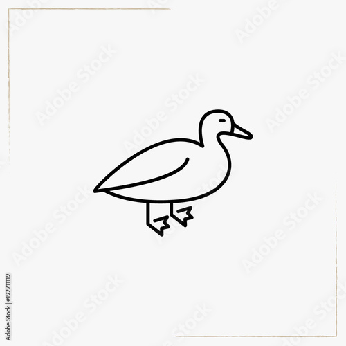 goose line icon