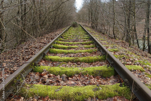 Nieczynna linia kolejowa Sierakowice - Kartuzy photo