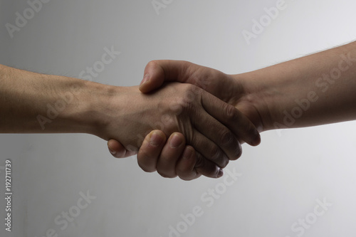 shaking hands © Natalia