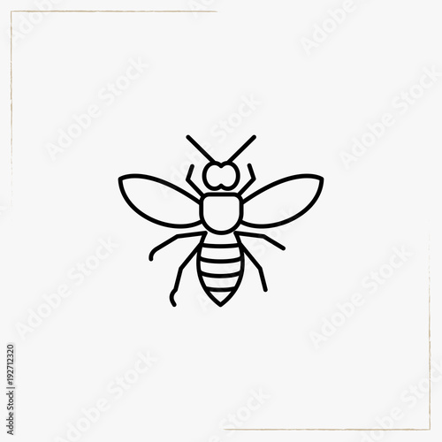 wasp line icon