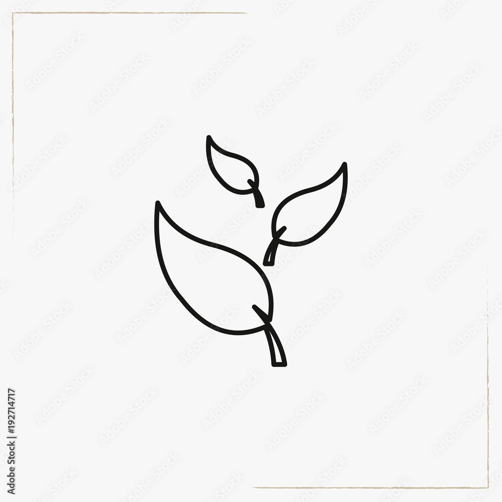 leaf line icon