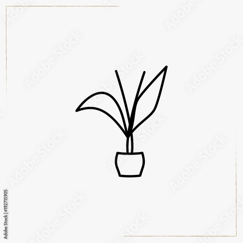 decorative plants line icon