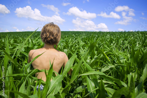 Topless girl on green corn field  photo