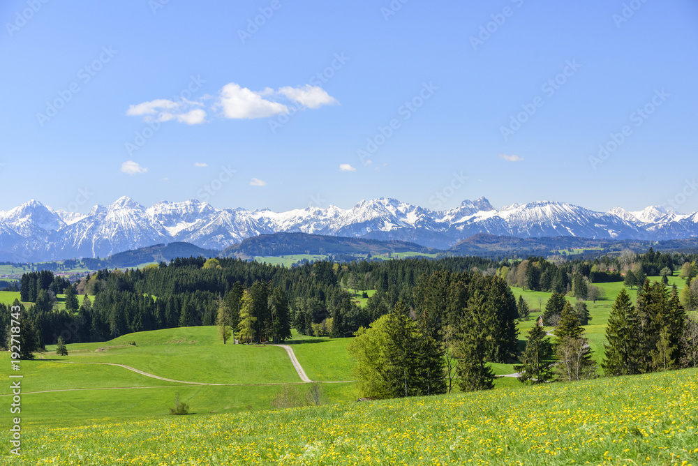 Frühlingshafte Natur im Alpenvorland des Ostallgäus