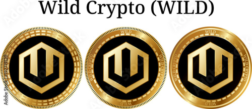Set of physical golden coin Wild Crypto (WILD)