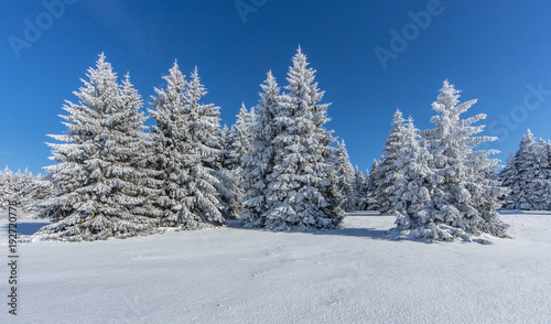 winterlandschaft © haiderose