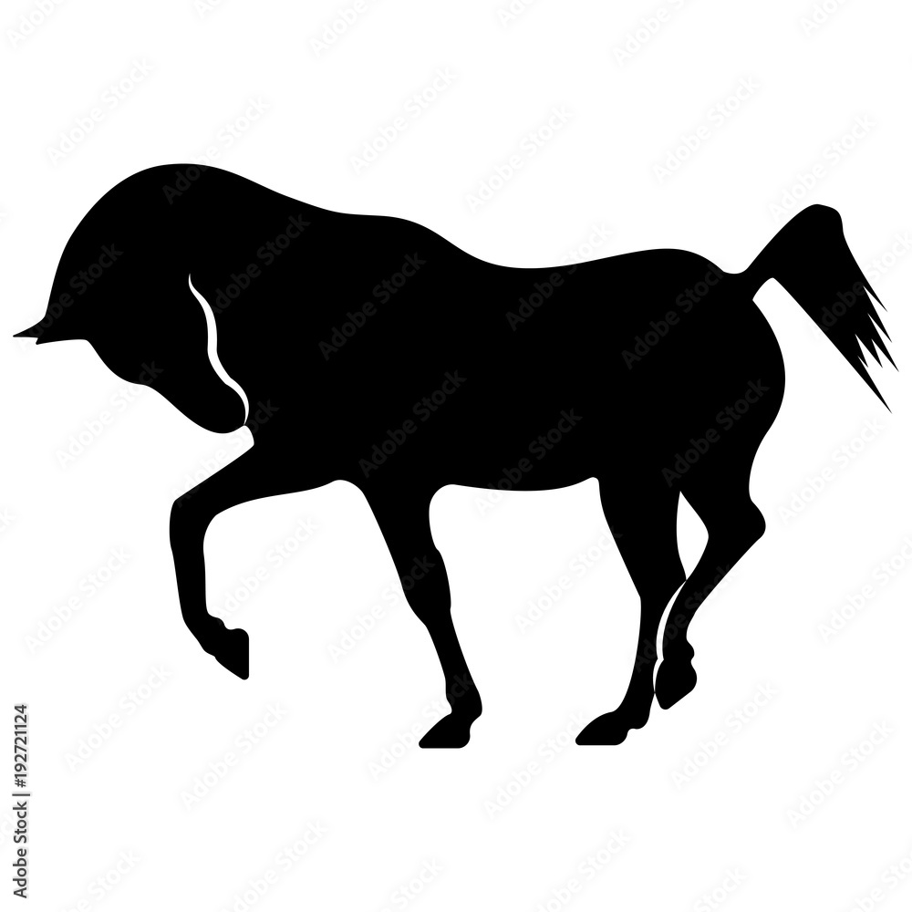 Vector horse silhouette image