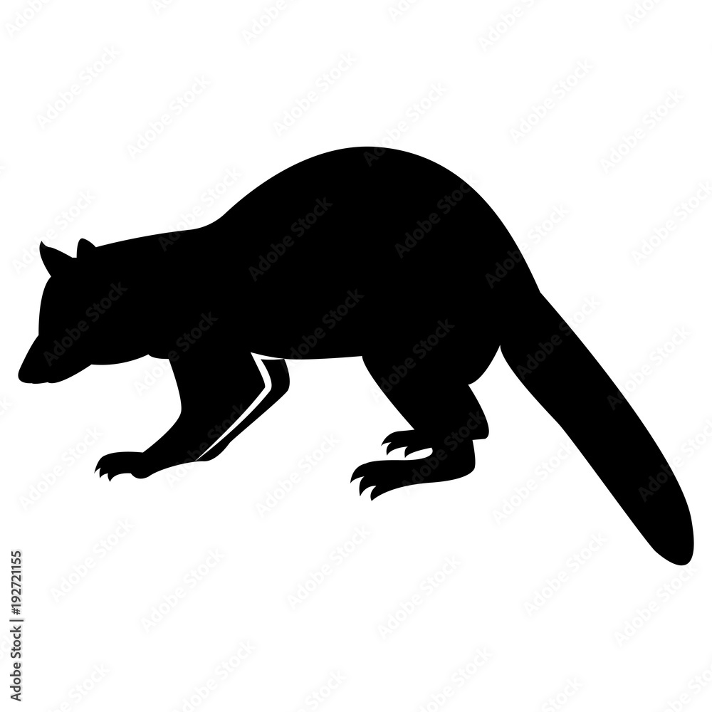 Vector image of silhouette of a raccoon on a white background