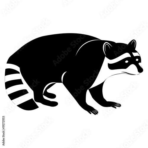 Vector image of silhouette of a raccoon on a white background