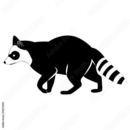 Vector image of silhouette of a raccoon on a white background