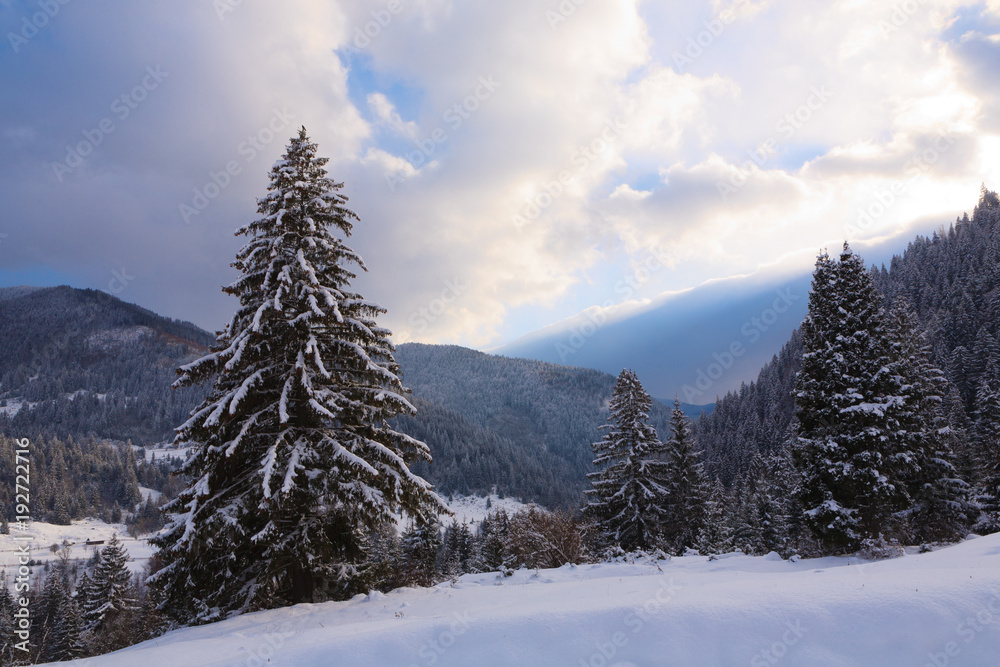 Winter in the Carpathian Mountains