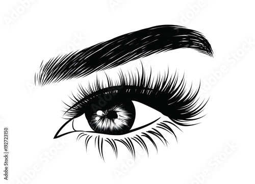 Illustration of woman's sexy luxurious eye with perfectly shaped eyebrows and full lashes. Hand-drawn Idea for business visit card, typography vector. Perfect salon look.