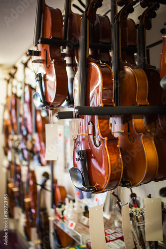 Violins in a musical instruments shop