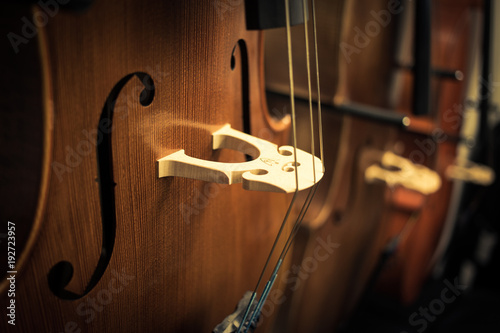Detail on violoncello, the musical instrument photo