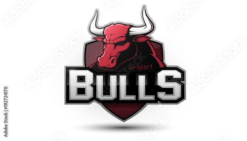 Modern professional bull logo for a sport team