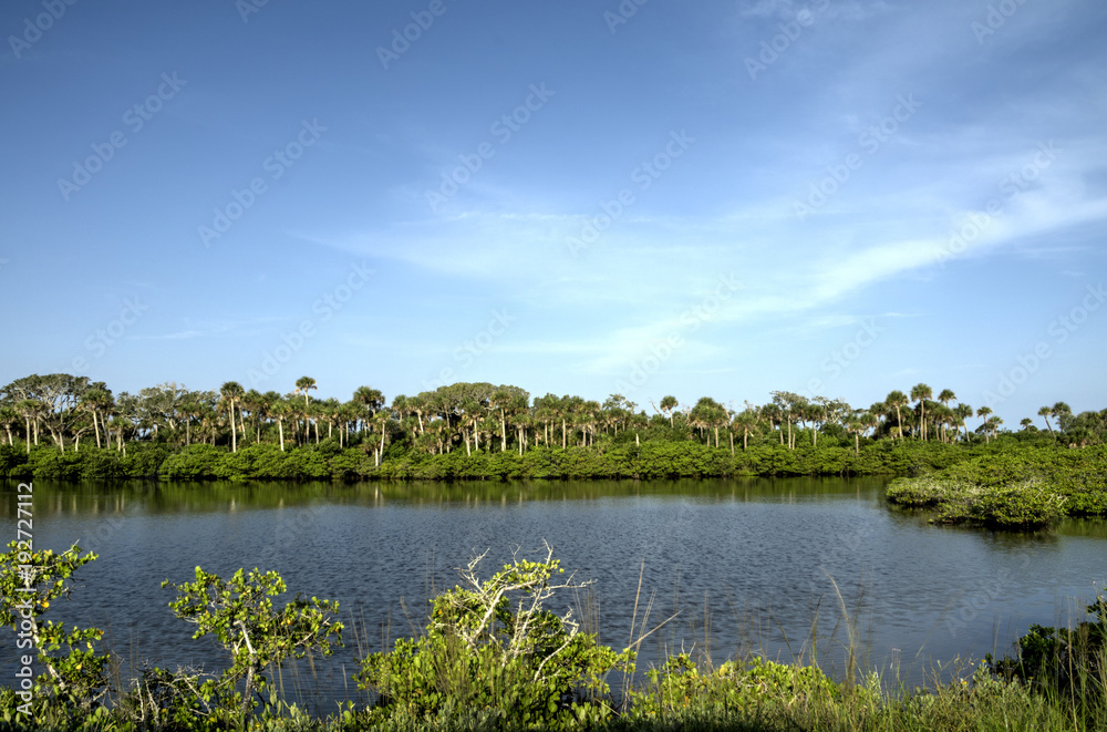 Fototapeta premium Merritt Island Wildlife Refuge in Florida