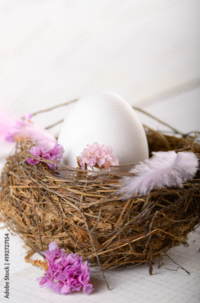 Egg in the nest with pink flowers and feather on white table