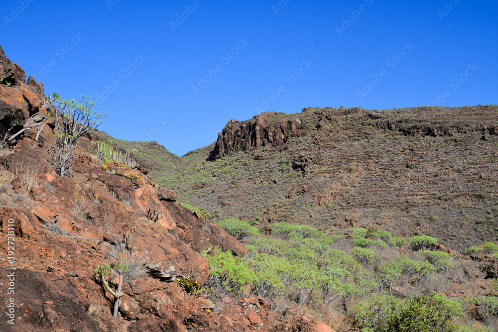 La Gomera: hike from Playa de Santiago to San Sebastian La Gomera: hike from Playa de Santiago to San Sebastian