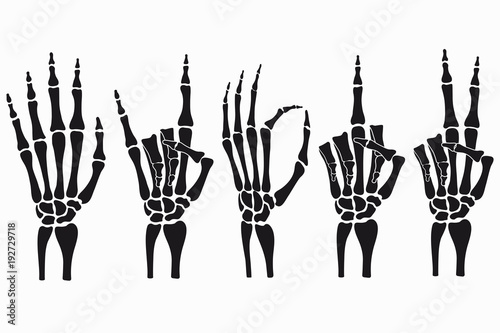 Skeleton hand gestures set. Collection of hand-drawn bones signs. Vector illustration.