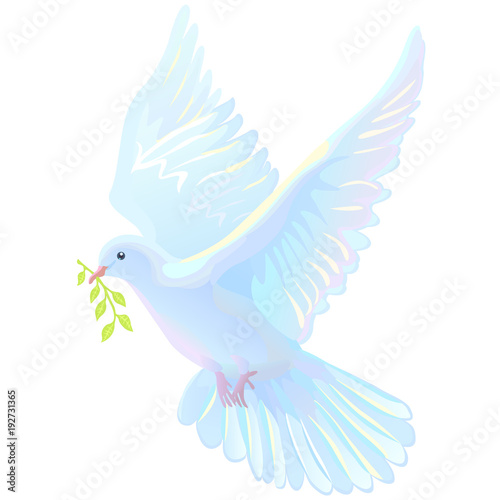 Dove, white dove with green sprig