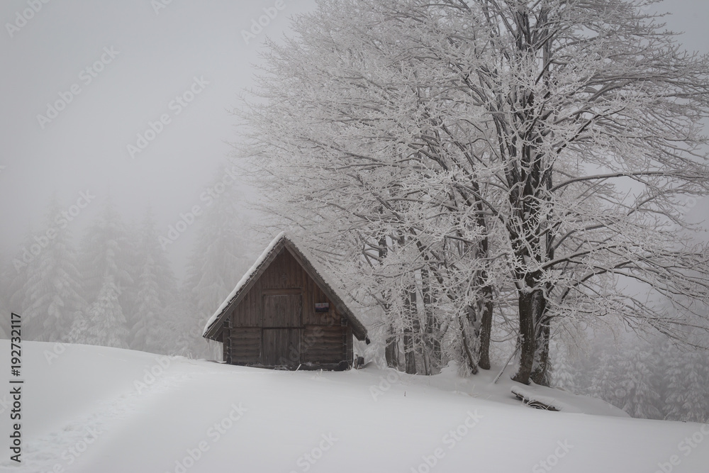 Wooden mountain hut in a winter environment