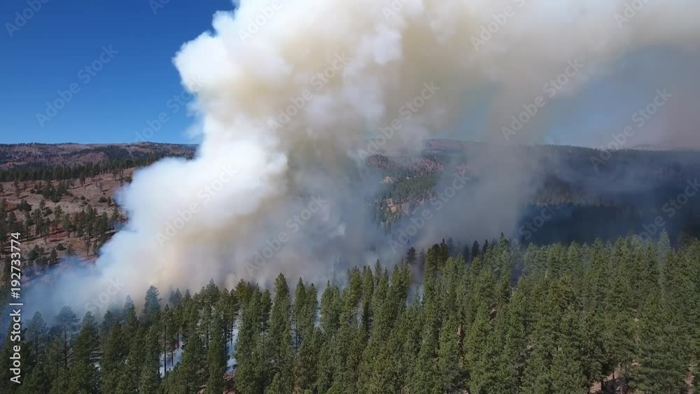 AERIAL BACKING AWAY FROM A SMALL FOREST FIRE. AERIAL BACKING AWAY FROM A SMALL FOREST FIRE.