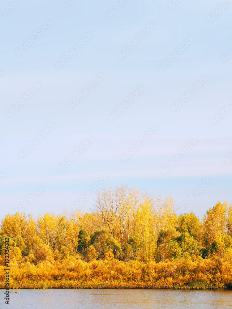 Golden autumn vertical landscape. Idyllic fall foliage scene. Beauty of autumn  nature, sunset. Reflection on the water. Space for text