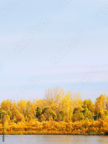 Golden autumn vertical landscape. Idyllic fall foliage scene. Beauty of autumn nature, sunset. Reflection on the water. Space for text